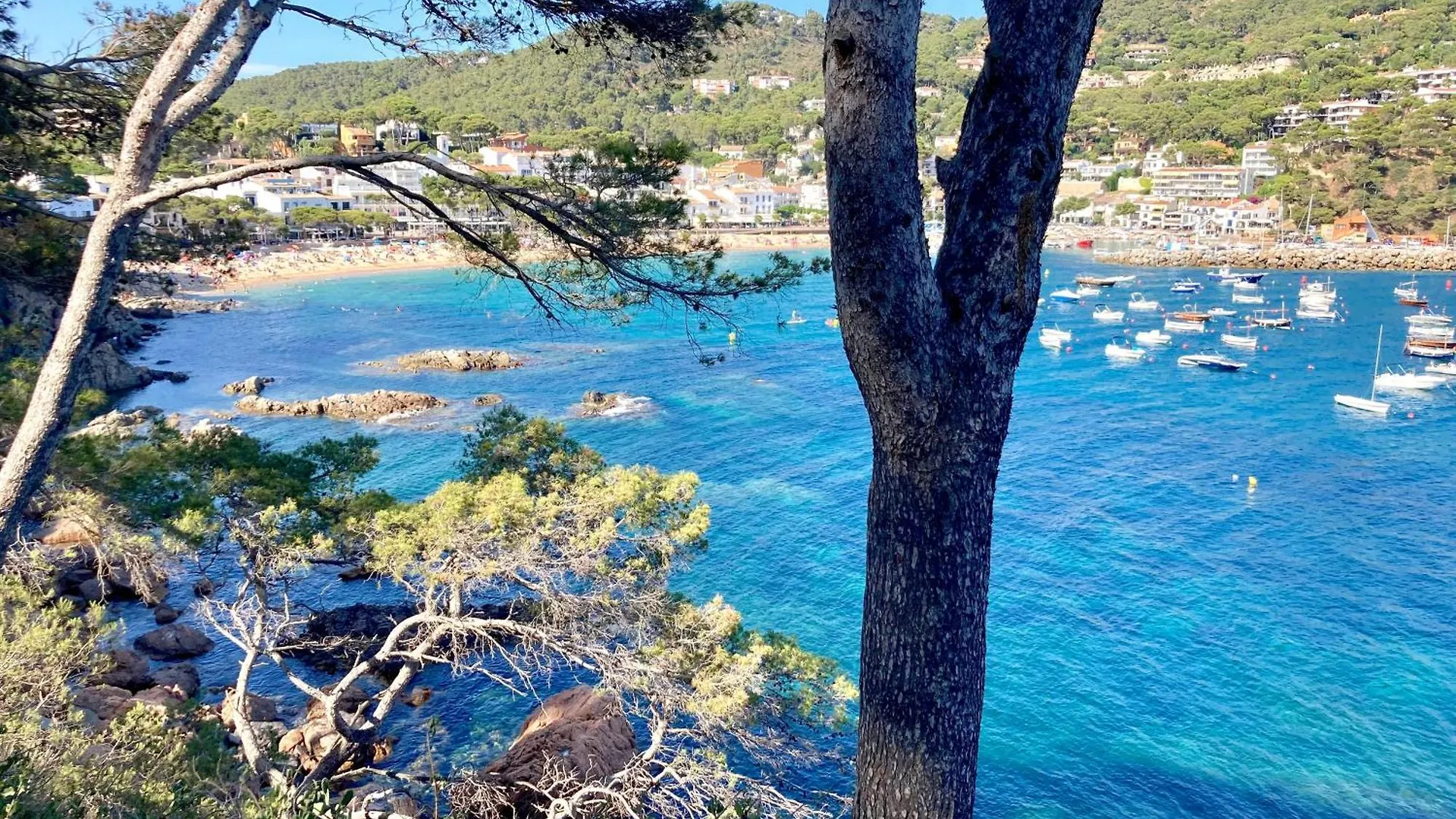 Puig Artigas 2 Apartment Calella De Palafrugell 0*,  Spain