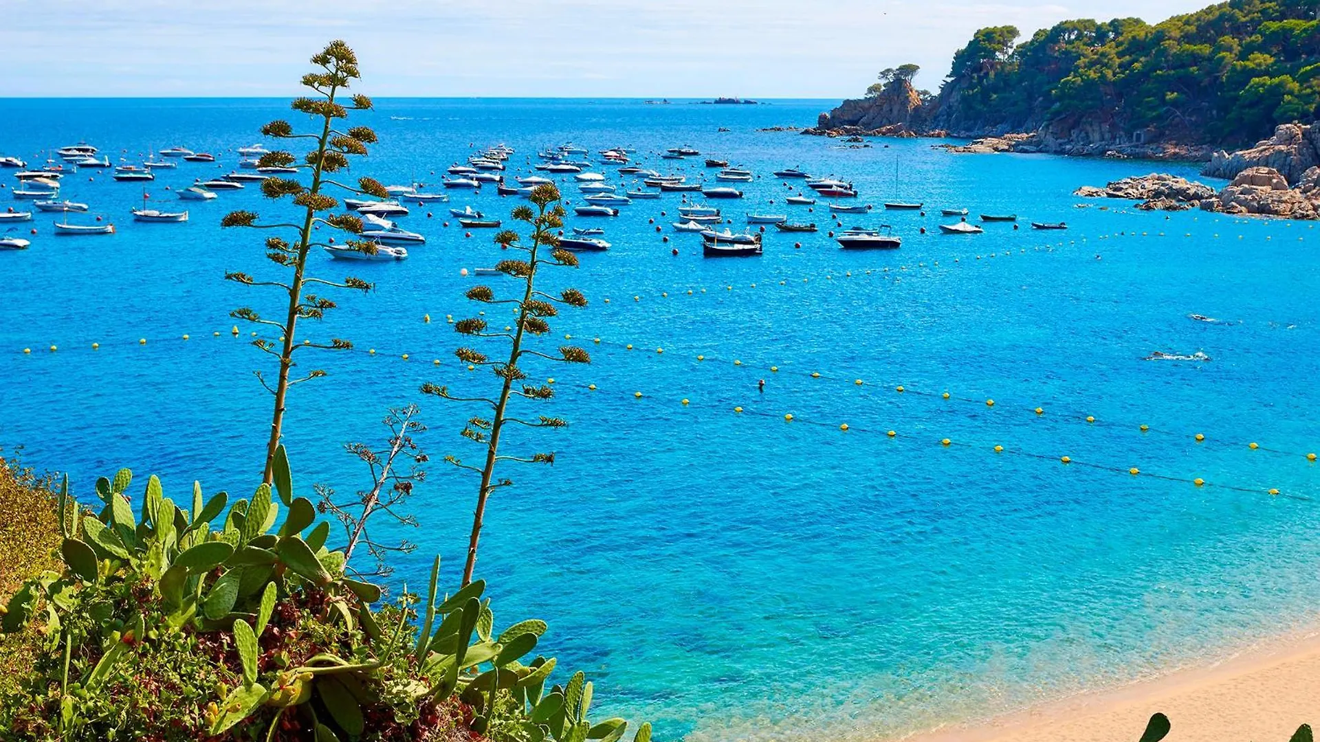 Puig Artigas 2 Apartment Calella De Palafrugell