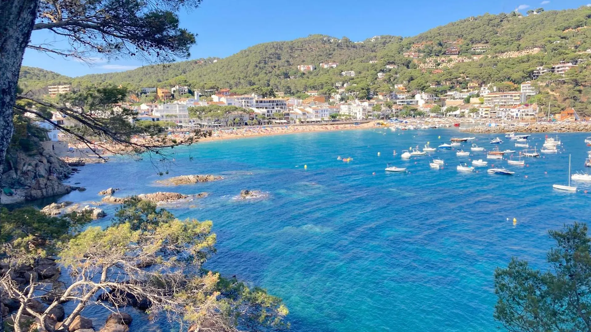 Puig Artigas 2 Apartment Calella De Palafrugell